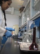 lab